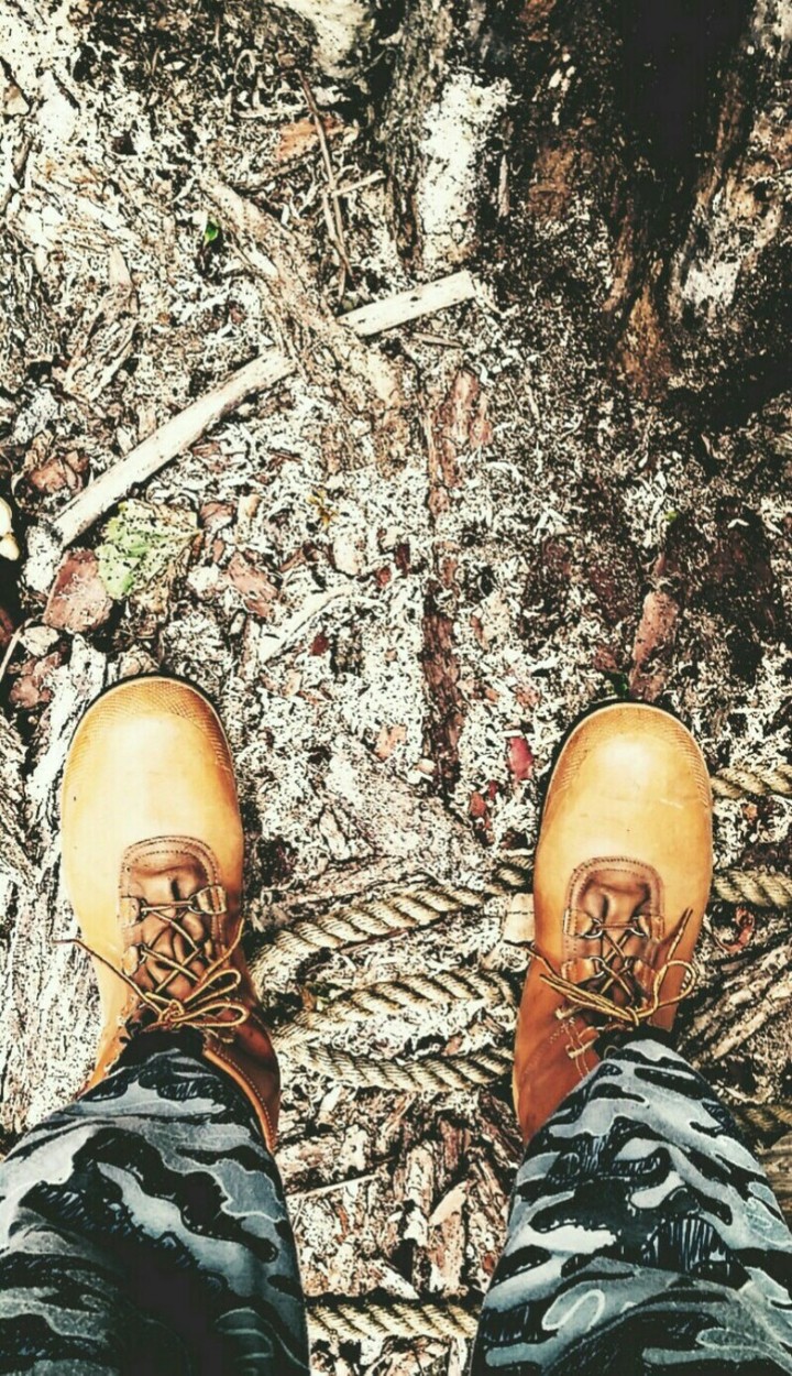 Out in the wild