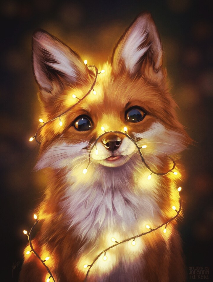 Fox
