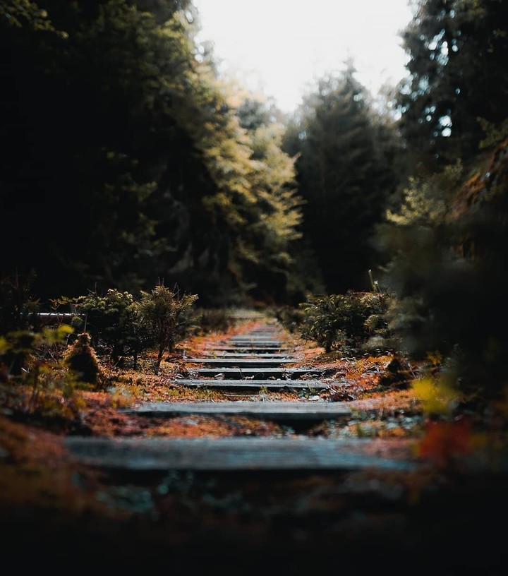 Lost Rail