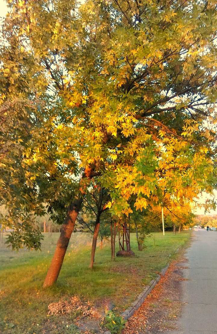 золотая осень