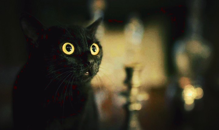 leon