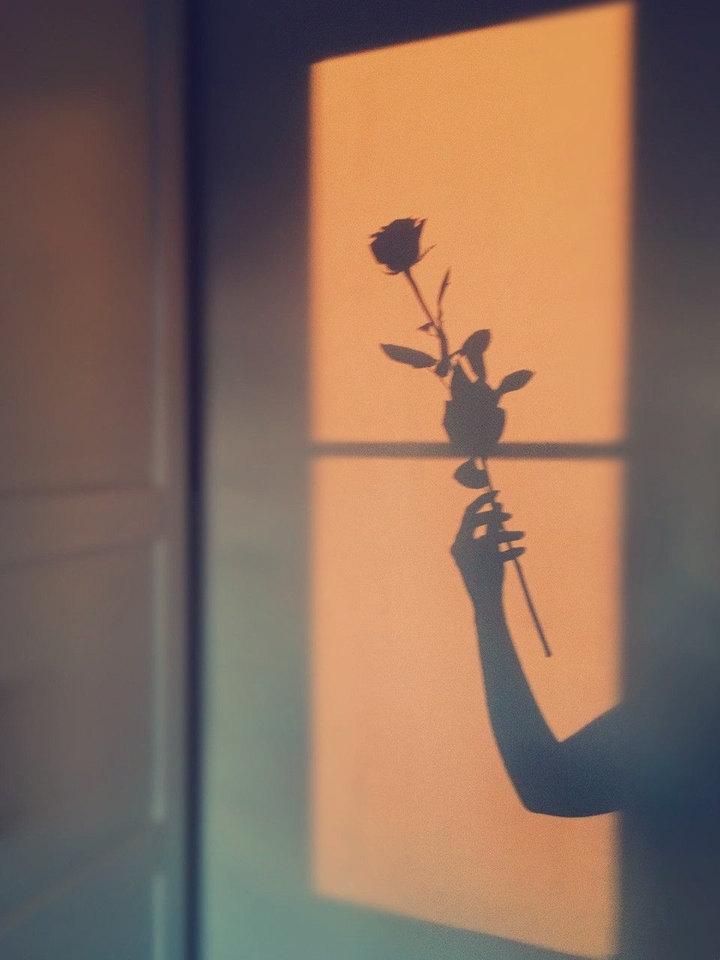 rose