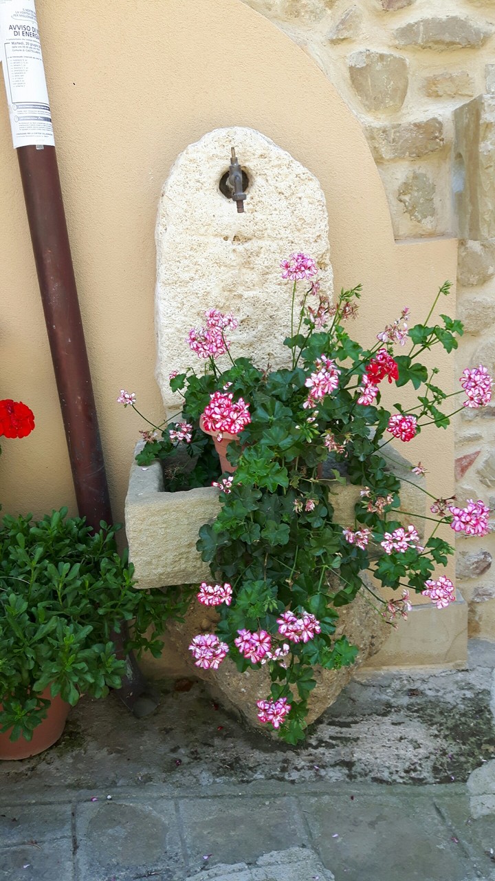 flower