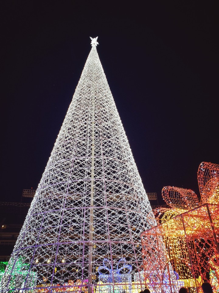 Enchanted Christmas