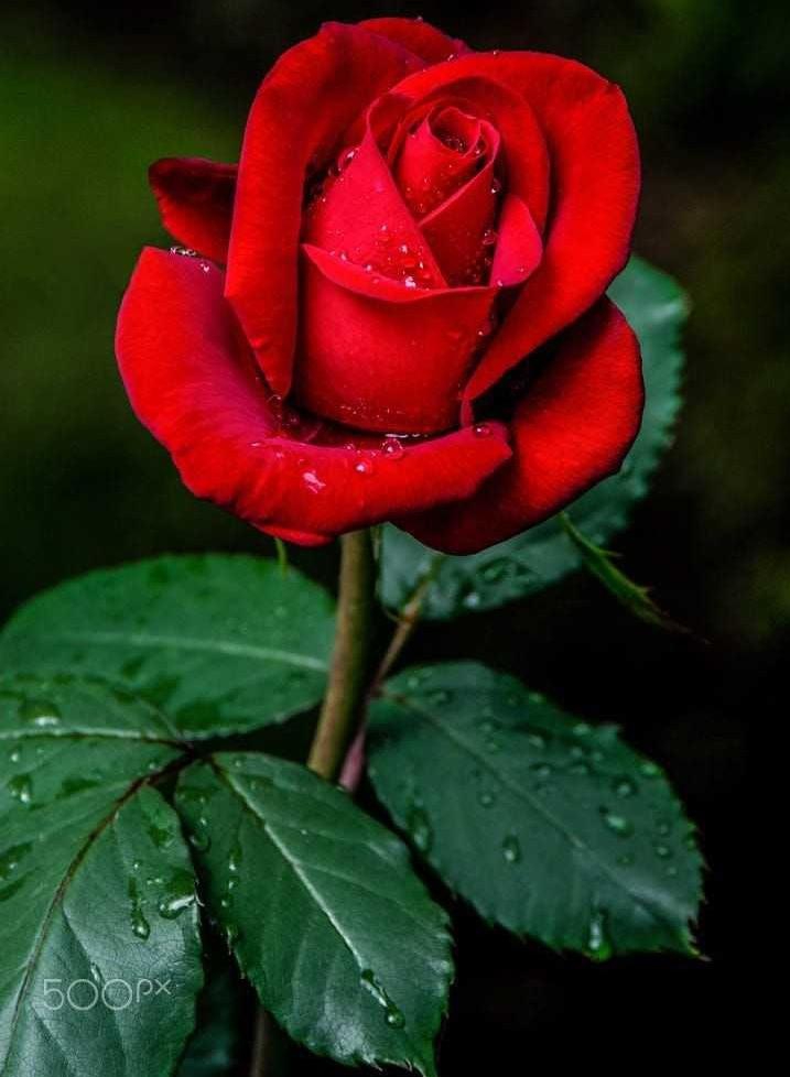 ❤