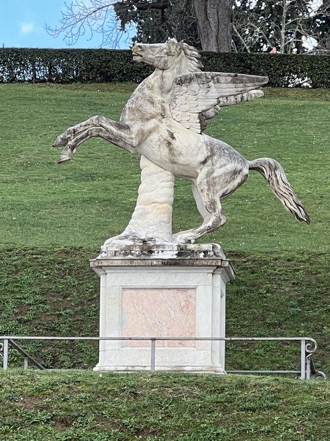 plant, pedestal achtergronden