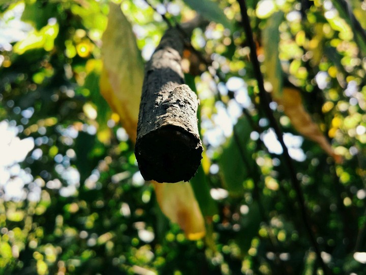 My brother took this photo...
