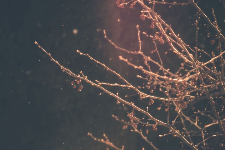 Snow
