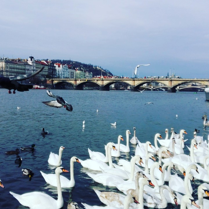 Prague