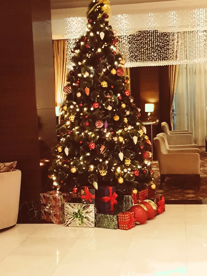 qafqaz baky city hotel