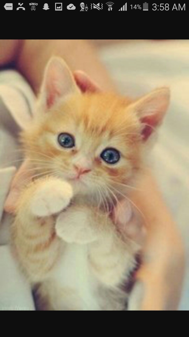 nice lovely cute