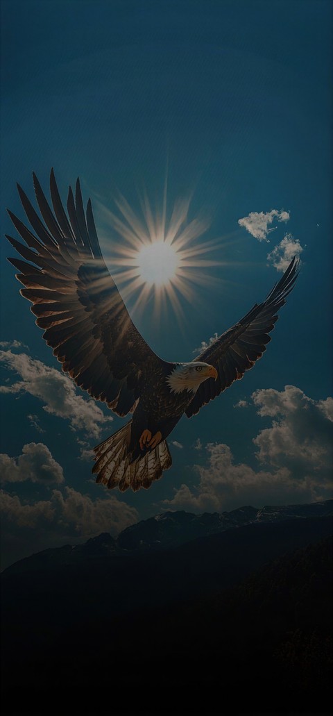 bird, feather wallpapers