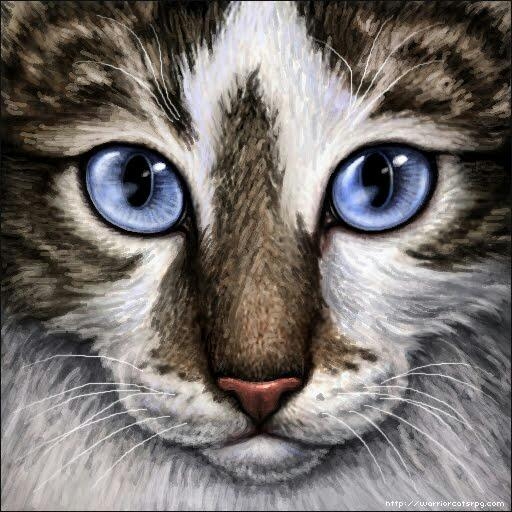 Blue eyes