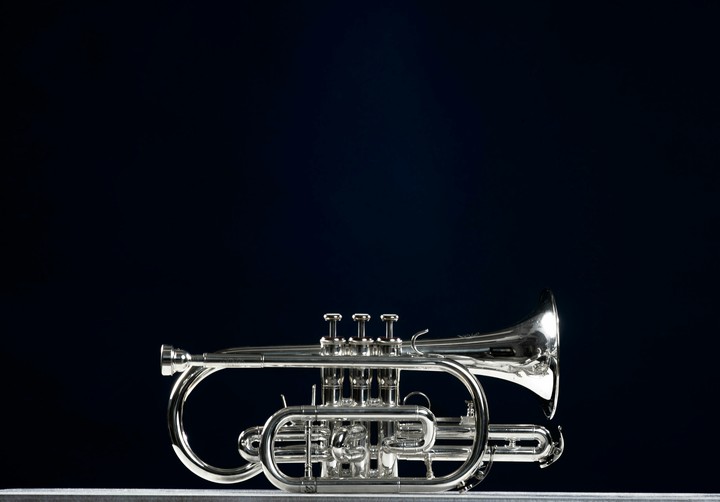 Musical instrument