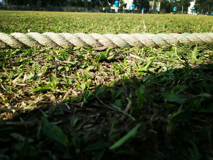 Field..