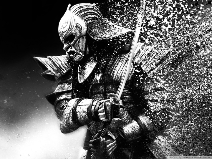 Steel Warrior
