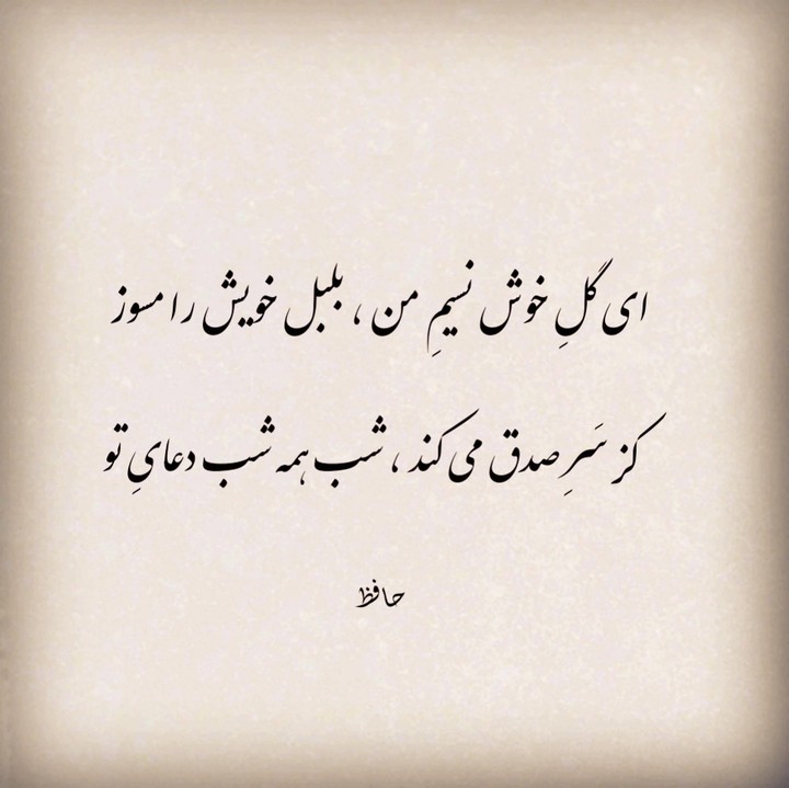 بلبل