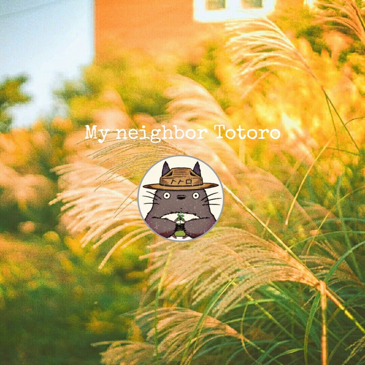 album my neighbor my totoro