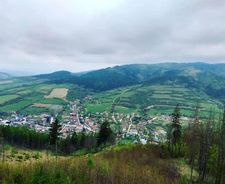 View