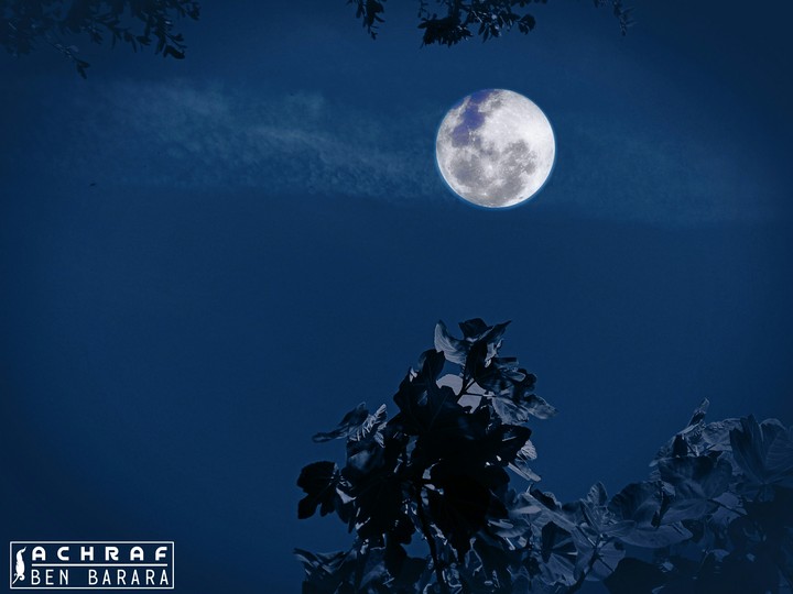 the moon