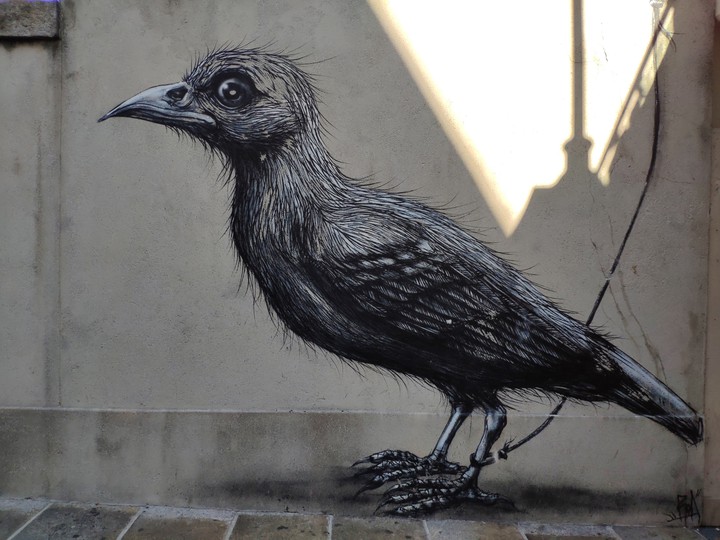 street graffiti