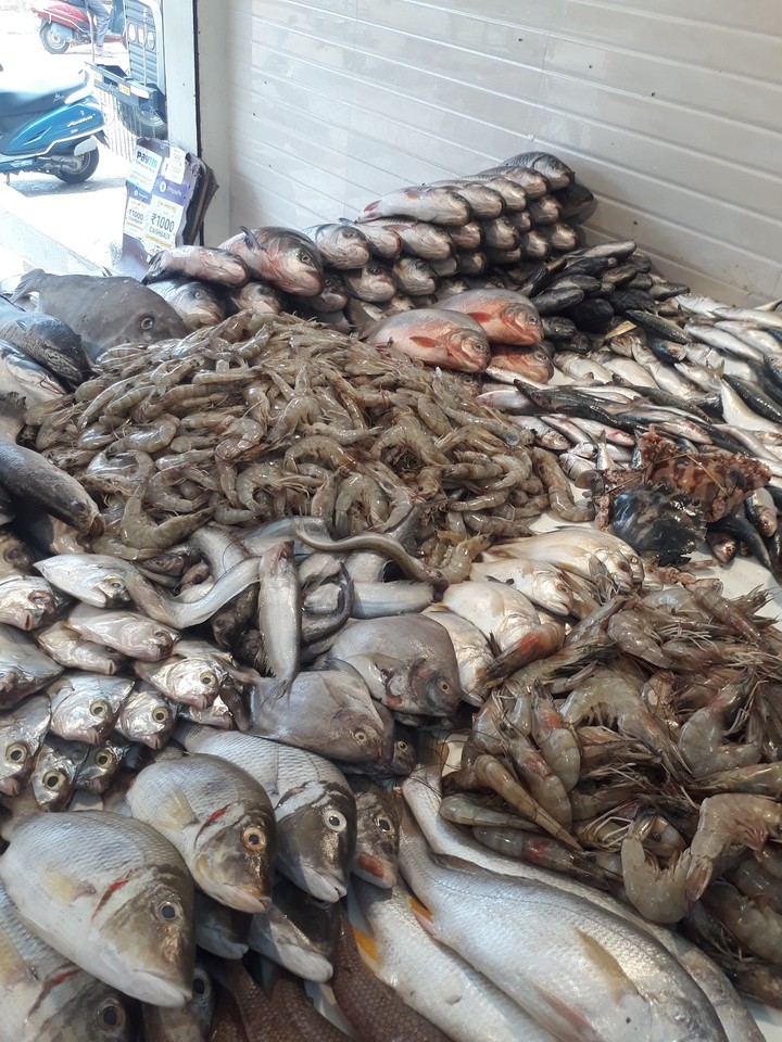 daily fish