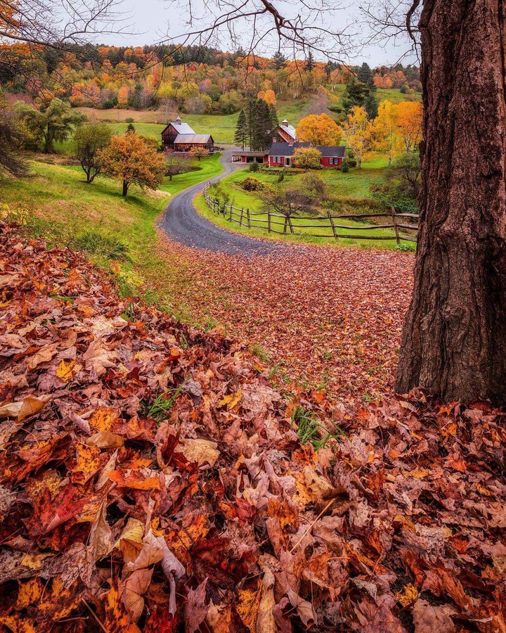Autumn