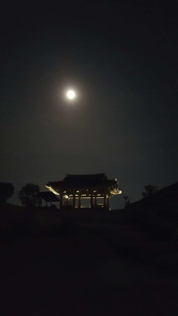 Night, with the Moon.