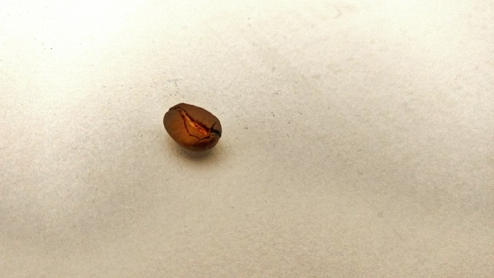 #coffee #coffeelovers #justabean