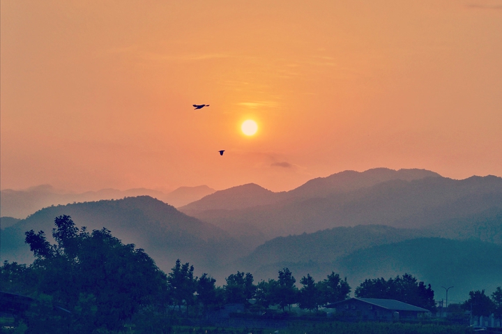 #sunset