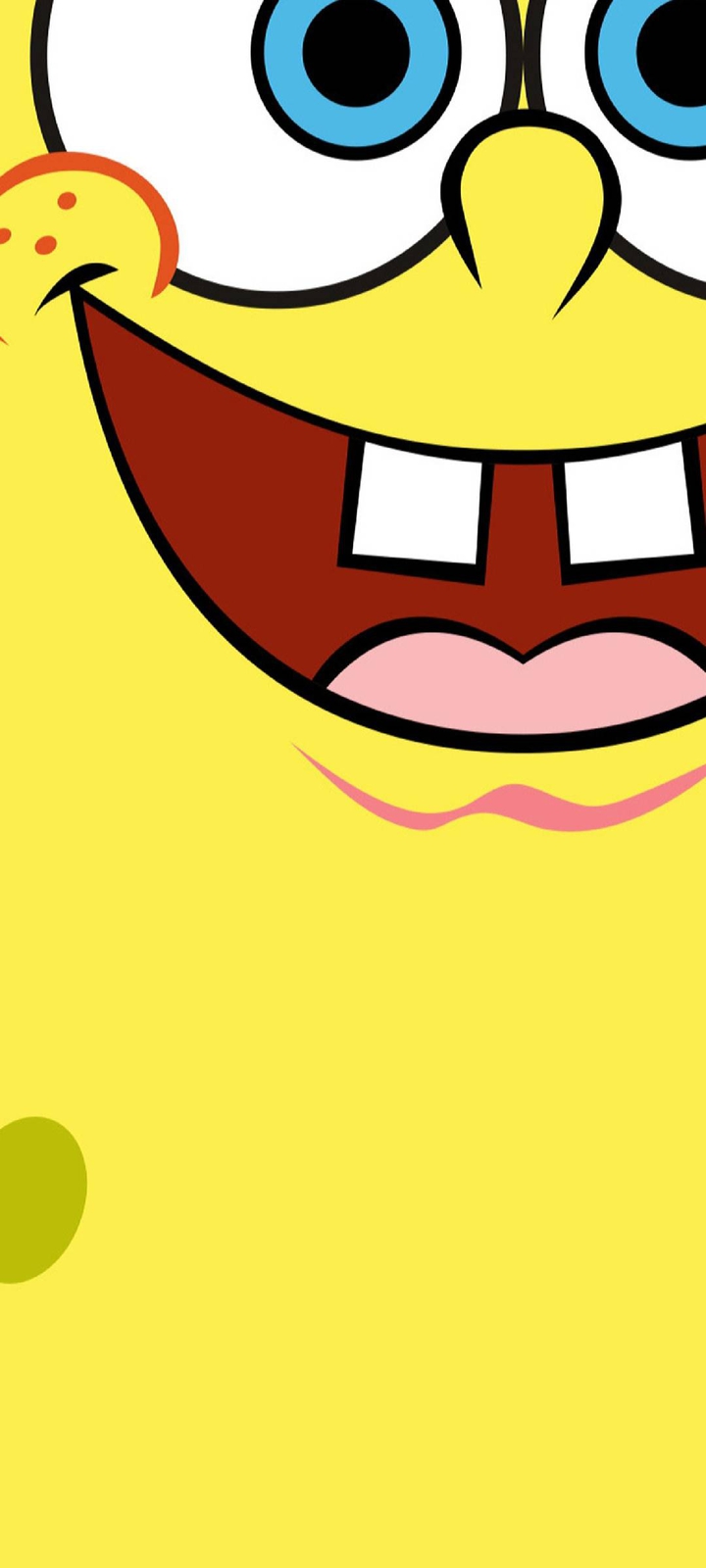 sponge