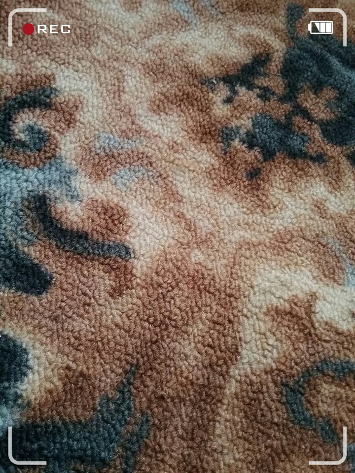 carpet