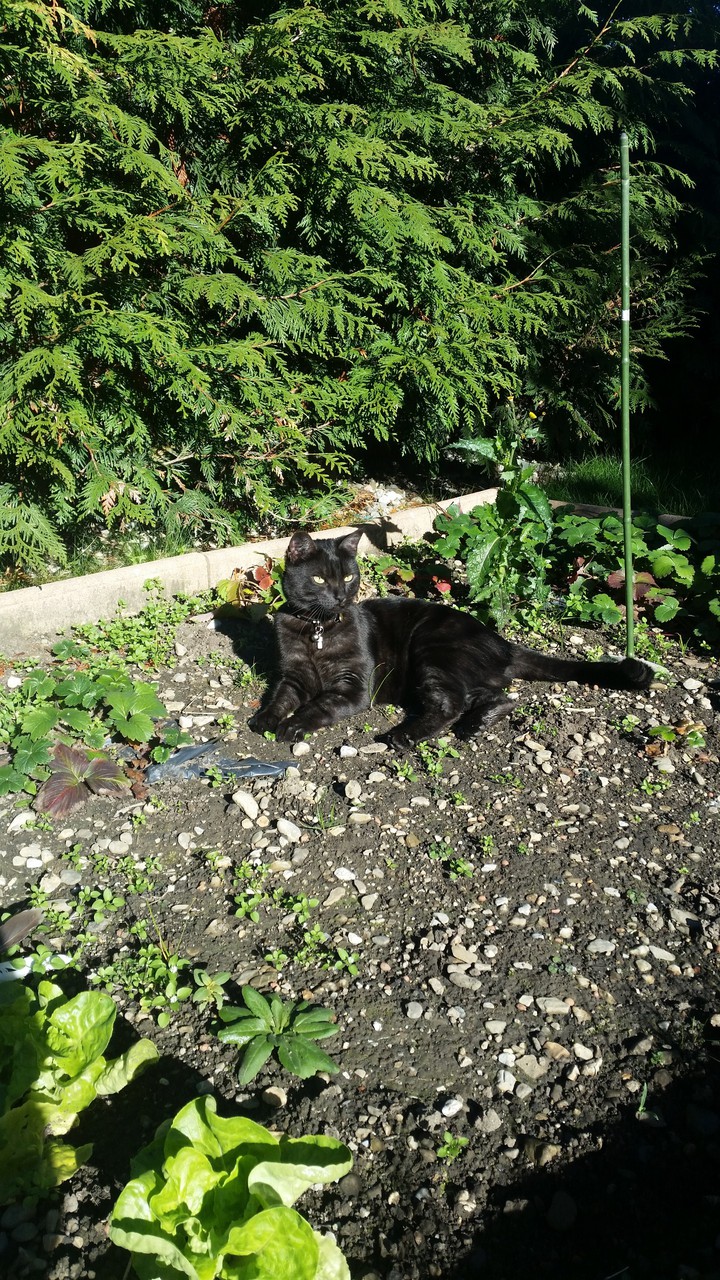 mon bébé