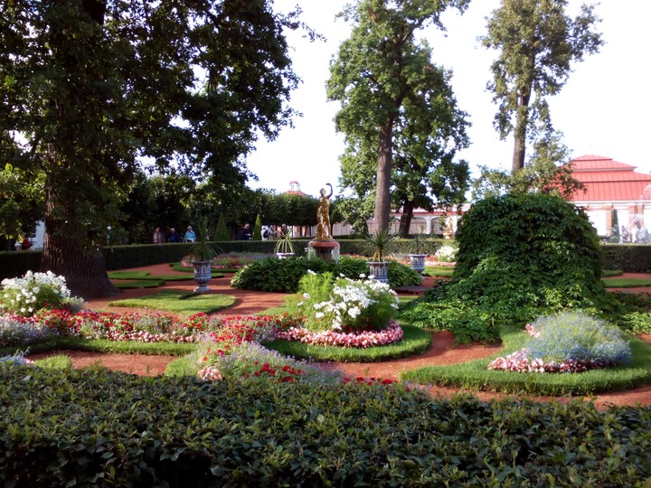 Beautiful garden