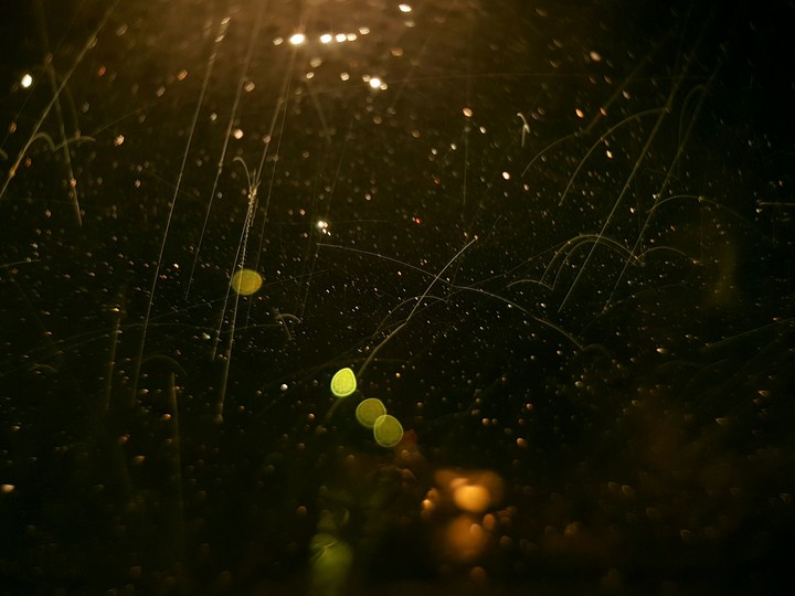 Raindrops on the windshield