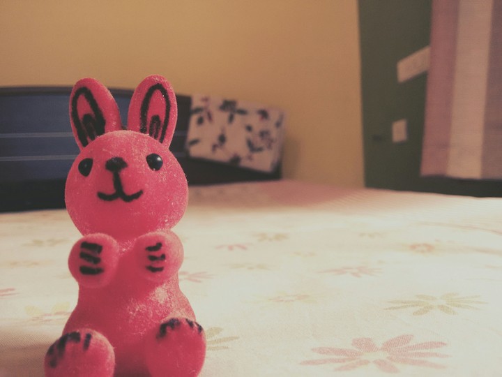 rabbit doll