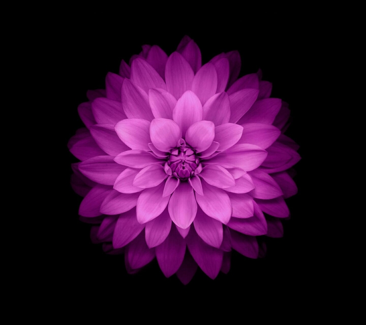 Iphone theme