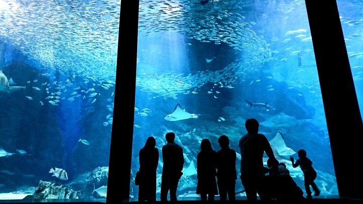 Aquarium