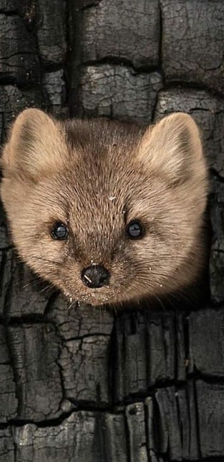 ?