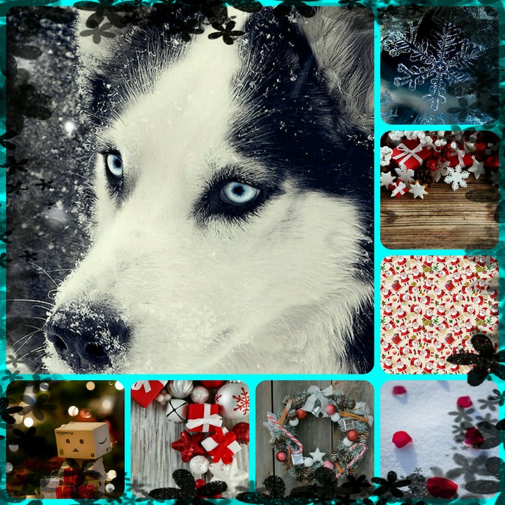 Лд