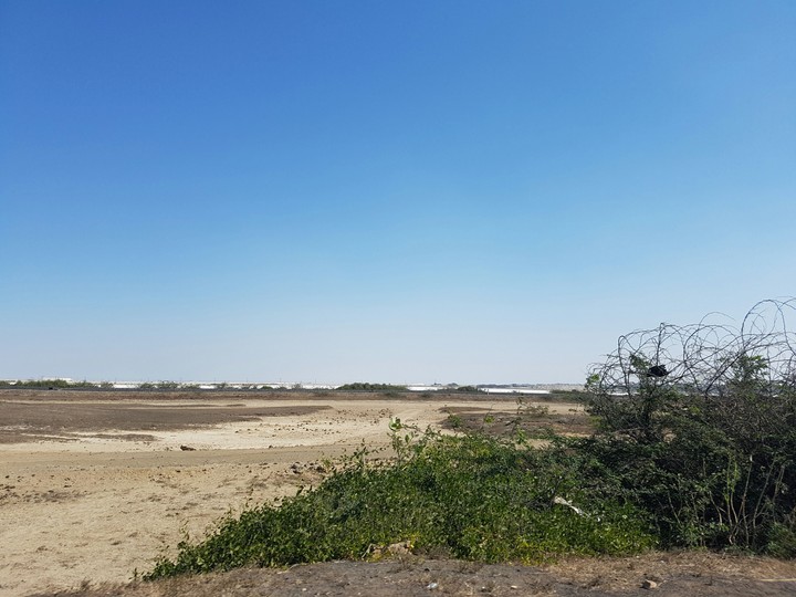 desert
