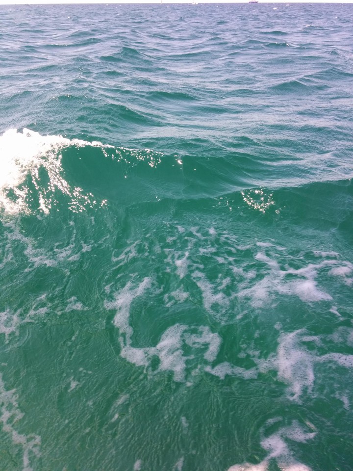 sea1