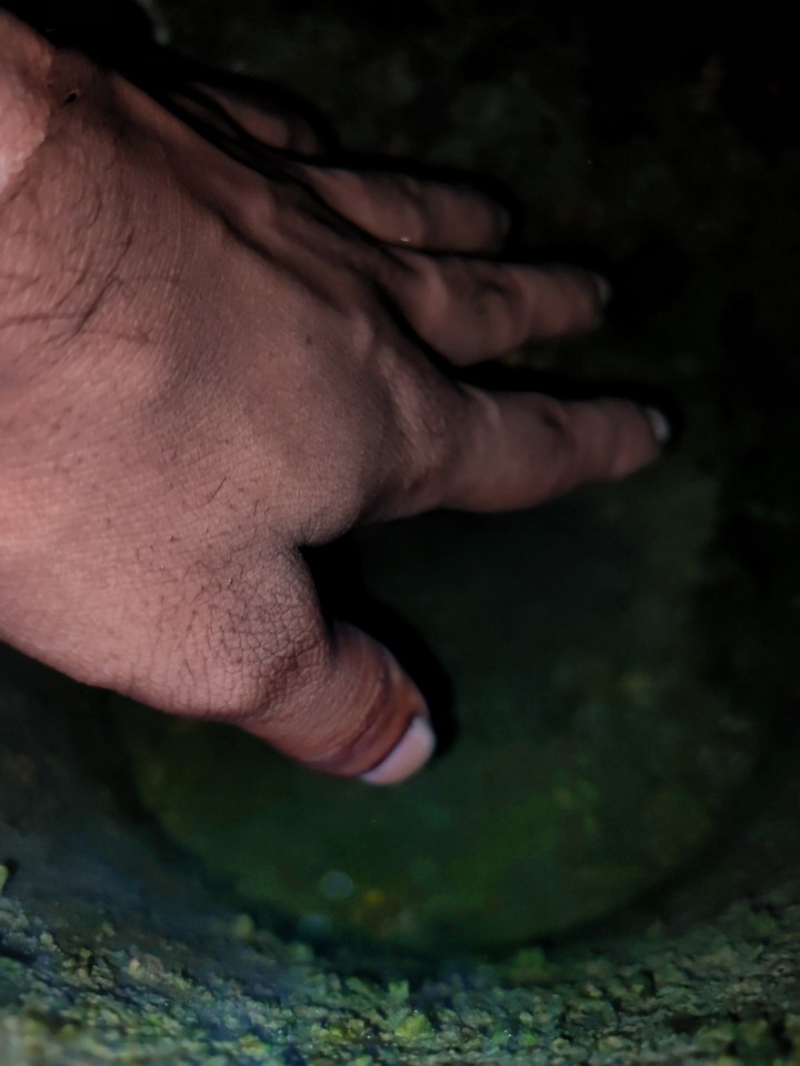 hand