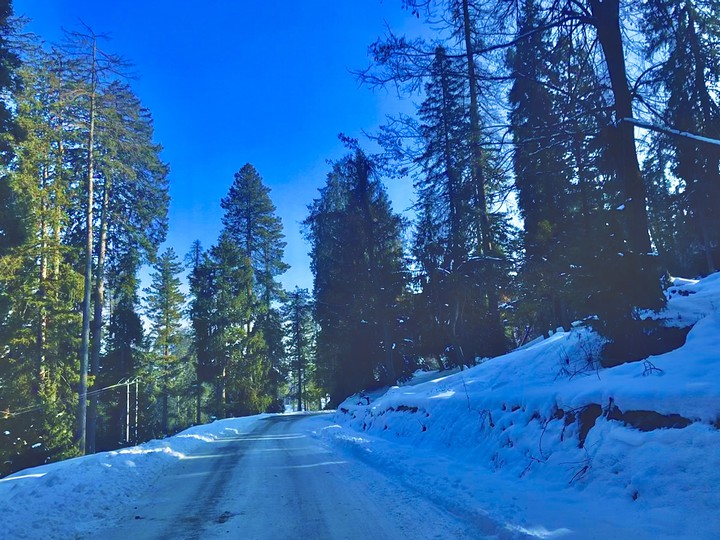 Kashmir