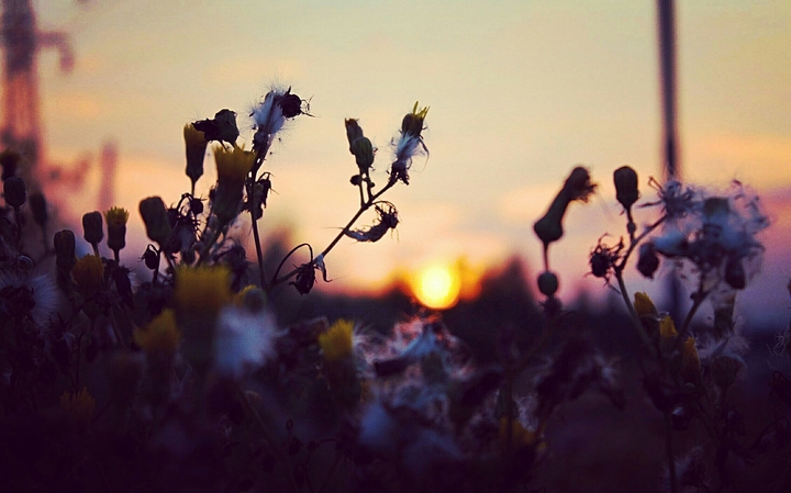 Summer memories