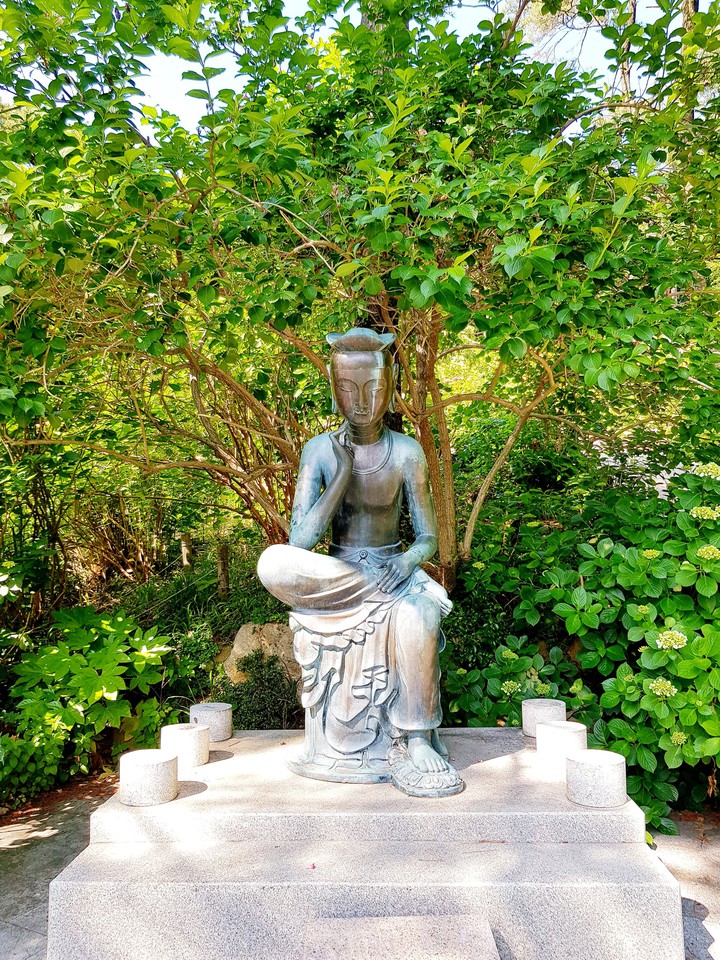 Contemplation