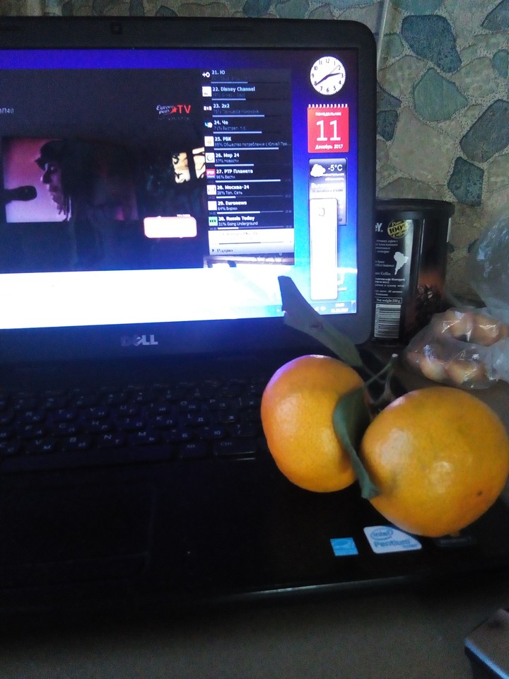fruits