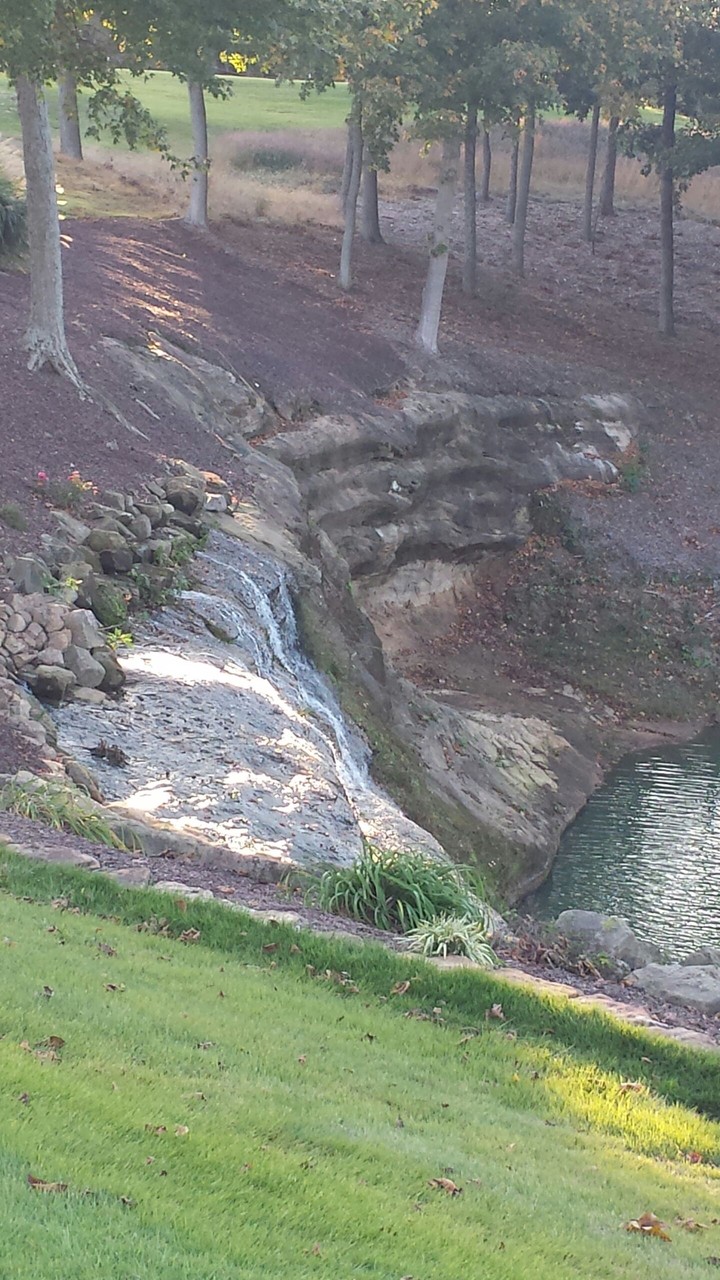 Gorgeous hillside with rocks