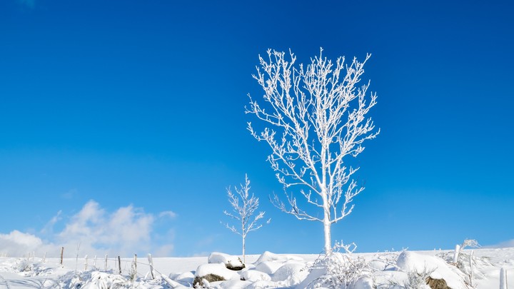Winter