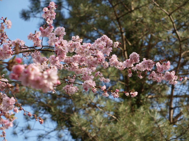 finally spring~
